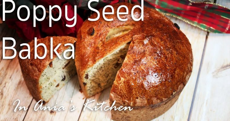 Poppy Seed Babka – Babka Piegowata – Recipe #229